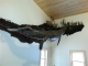 13 ft. 6in. Crocodile taken by J.D. SChreur