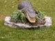 alligatorHalf mount